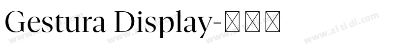 Gestura Display字体转换 Gestura Display字体转换